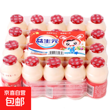 【网红乳酸菌】风味酸奶乳酸菌饮品100ml超值40瓶乳酸菌 20瓶100ml乳酸菌