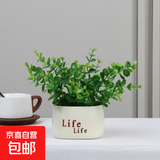 仿真花客厅装饰摆件向日葵插花小盆栽假花塑料花束餐桌花艺装饰品 尤加利+Life瓶