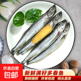 新渔姐 满籽多春鱼 东海直发深海海捕海鲜特大多籽海鱼 满籽多春鱼/1斤