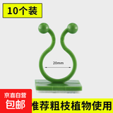 绿萝爬上神器爬墙上绿箩固定器绿植攀爬夹子墙上无痕挂钩粘爬藤杆 藤蔓固定夹-绿色-大号-10个