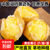 甘肃定西土豆2025年现挖黄皮黄心产地直发沙糯面马铃薯洋芋 中大果-5斤（净重）-黄皮黄心