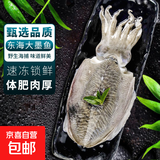 大墨鱼 鱼 鲜活冷冻舟山海捕东海特大目鱼乌贼海鲜水产非墨鱼仔 墨鱼 2斤(净重)