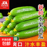 水果黄瓜无刺减肥好搭配可即食生鲜蔬菜 畅销款 3斤 带箱