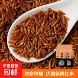 精选红米 红糙米五谷杂粮粗粮粥米搭档大米伴侣 精选红米2斤（1斤*2袋）