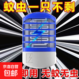 灭蚊灯家用灭蚊器驱虫器婴幼儿孕妇可用电击插电式室内 灭蚊小夜灯1个插电款