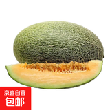 现货正宗保甜当季新鲜水果脆甜晓蜜哈密瓜 精选1.5-2斤