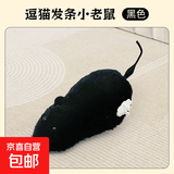 猫咪玩具电动小老鼠自嗨解闷斗逗猫棒仿真猫用品大全消耗体力好物 宠物玩具【发条小鼠】-黑色 无规格