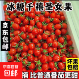 千禧圣女果新鲜小番茄樱桃小柿子孕妇水果现摘现发新鲜蔬菜 新鲜圣女果 5斤