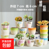 多肉小花盆陶瓷特价清仓卡通动物精致小号大口径可爱专用盆桌面 超值随机10个拇指盆不限图片款 中