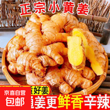 云南小黄姜新鲜老姜10斤沙姜仔姜月子姜南姜农家现挖干姜生姜批发 含箱4.5斤 【正宗小黄姜】源头直采包邮
