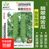 蔬菜种子四季播盆栽阳台庭院香菜生菜菠菜萝卜葱简单易种籽孑大全 翡翠绿苦瓜约10粒