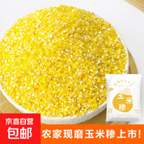 【活动】玉米糁 小碴子玉米碴东北粥低脂主食代餐五谷杂粮谷物 玉米糁1斤 农家现磨