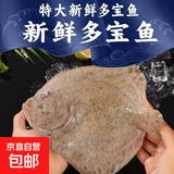 多宝鱼新鲜鲜活冷冻大比目鱼偏口鱼八宝鱼大菱鲆扁口鱼海鲜鱼类 多宝鱼 1200g -1400g【2条装】