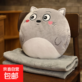 卡通办公室抱枕被子两用二合一靠枕汽车内靠垫多功能午睡毯子批发 龙猫 暖手抱枕35cm+中毯(90cm*1.7m)
