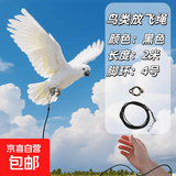 鹦鹉放飞绳不伤脚超轻脚环鸟用牵引绳外出遛鸟绳玄凤鹦鹉鸟类用品 2米超轻放飞绳(4号脚环)