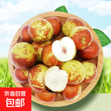 陕西大荔冬枣新鲜水果应季现采产地直发脆甜包邮特价 净重0.8斤( 单果8g-12g)