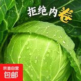 包菜新鲜卷心菜大头菜农户自种当季绿叶蔬菜绿甘蓝 绿甘蓝 5斤