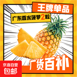 广东香水菠萝新鲜水果菠萝凤梨整箱包邮单果500g起 【实惠】2粒装 带箱3斤净重2.6-2.8斤