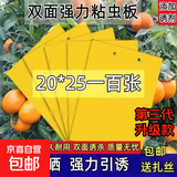 黄色粘虫板黄板双面苍蝇药防虫黄色粘虫板果园蔬菜大棚驱虫用 25*20cm双面强力黏虫板（100张）