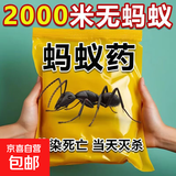 强效蚂蚁药家用室内非无毒厨房野外菜地除治专杀灭蚂蚁一锅全窝端 【10包装】强效型蚂蚁药