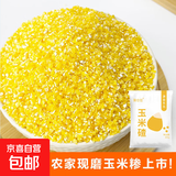 【活动】玉米糁 小碴子玉米碴东北粥低脂主食代餐五谷杂粮谷物 玉米碴200g 农家新粮