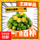 海南青金桔新鲜小金桔 净重250g小果（5g-10g）