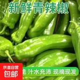 新鲜青尖椒超市生鲜蔬菜下饭菜虎皮尖椒鸡蛋伴侣 特惠 1.5斤 含箱