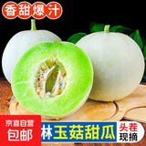 玉菇甜瓜冰淇淋现摘正宗新鲜水果整箱当季水果香瓜冰淇淋 【超值装】 5斤(净重4.7斤)