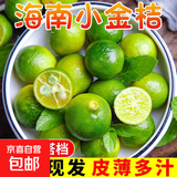海南小金桔青金桔柠檬莫吉托新鲜水果奶茶店专用调味品单果5g-10g 海南青金桔5斤