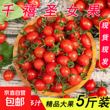 千禧圣女果新鲜小番茄樱桃小柿子孕妇水果现摘现发新鲜蔬菜 新鲜圣女果净重 1斤