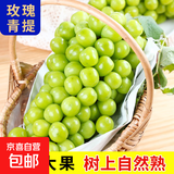 阳光葡萄青提晴王无籽葡萄新鲜水果爆甜 带箱5斤（单果15g+）净重4-4.5斤