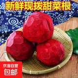 甜菜根新鲜现挖5斤甜菜头紫菜头红甜菜可榨汁农产品红菜头萝卜头 甜菜根5斤小果个数随机