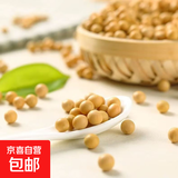 黄豆 非转基因大豆 农家大豆子五谷杂粮发豆芽打豆浆小黄豆 黄豆100克