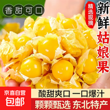 东北姑娘果新鲜当季水果黄菇娘灯笼果酸甜可口甜菇娘特产京东包邮 【带箱5斤】净重4.3斤