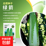 大白菜种子空心菜生菜奶油小白菜红心胡萝卜西葫芦农科院蔬菜籽孑 绿箭绍菜大白菜种子 2克