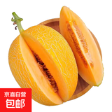 甘肃沙漠金色年华哈密瓜头茬蜜瓜自然熟高甜度新鲜水果甜脆 净重8-9斤 2-3枚装