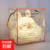 卡通小夜灯房间可爱少女心氛围灯生日礼物送女孩子儿童发光小玩具 腮红兔/大号+透明礼盒/拉菲草 +配10颗备用电池