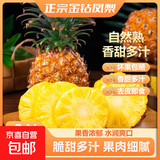 特价金钻凤梨新鲜大果菠萝整箱水果风梨手撕现货直发脆甜多汁凤梨 小果0.8斤-1.2斤4-6个 净重4.5斤