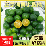 正宗海南小金桔新鲜香水小青柠檬小青桔青柑金橘皮薄多汁新鲜水果 金桔（5-10g)带箱1斤