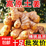 云南小黄姜新鲜老姜10斤沙姜仔姜月子姜南姜农家现挖干姜生姜批发 2斤 【正宗小黄姜】源头直采包邮