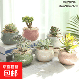 多肉花盆陶瓷透气家用室内外粗陶紫砂创意小号绿植大口径盆栽桌面 6件套网格多肉花盆 款式