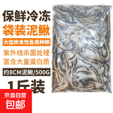 红虫冰冻鱼食牛心汉堡红线虫水蚤丰年虾泥鳅罗汉鱼粮七彩神仙饲料 【冰鲜泥鳅】6-8cm冷冻泥鳅1包/500g