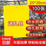 黄板双面粘虫板诱虫纸贴黄色飞虫小黑飞诱沾果蝇捕器粘板针蜂大棚 【加大款】25*20cm-100张