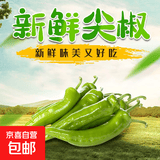山东青椒尖椒薄皮辣椒虎皮辣椒现摘鲜青辣椒时令蔬菜农场直发 5斤 5斤