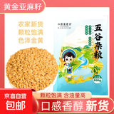 黄金亚麻籽仁 内蒙农家生亚麻籽仁打豆浆五谷胡麻子 优质黄金亚麻籽50g
