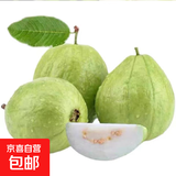 白心芭乐新鲜软糯番石榴低卡轻食可榨汁启鸿 白心芭乐 净重4.5斤 单果100g+