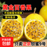京喜加广西 黄金百香果钦蜜9号现摘新鲜水果白香果青果发货 小果实惠 20粒【小果-单果30-45g】