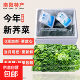 【农村最鲜】春天里荠菜农家野菜荠菜速冻荠菜水饺馄饨馅 南阳【当季新菜4斤】净重 精选商用装