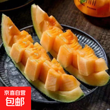 新疆哈密瓜 山东晓蜜瓜 海南晓蜜瓜25号 西州蜜17号 蜜瓜 5-6斤（1-2粒） 脆甜爽口多汁