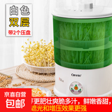 豆芽机家用全自动智能多功能发芽大容量豆牙盆神器桶自制生绿黄豆芽罐 自动款白双层带2个蓄水压盘